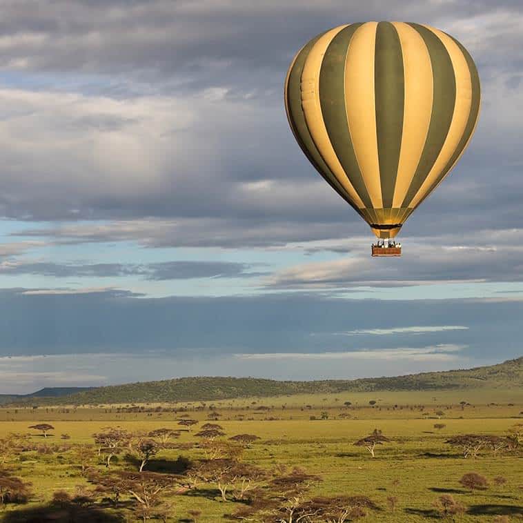 List 90+ Pictures Pictures Of The Serengeti Stunning