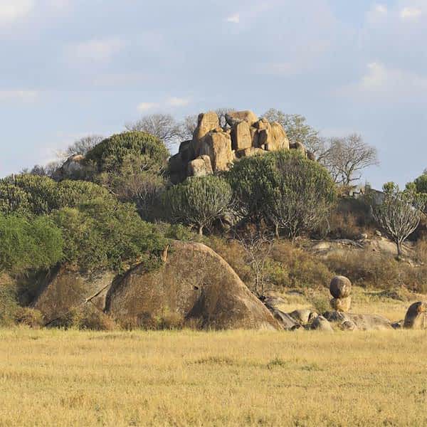 Read more about Serengeti geology
