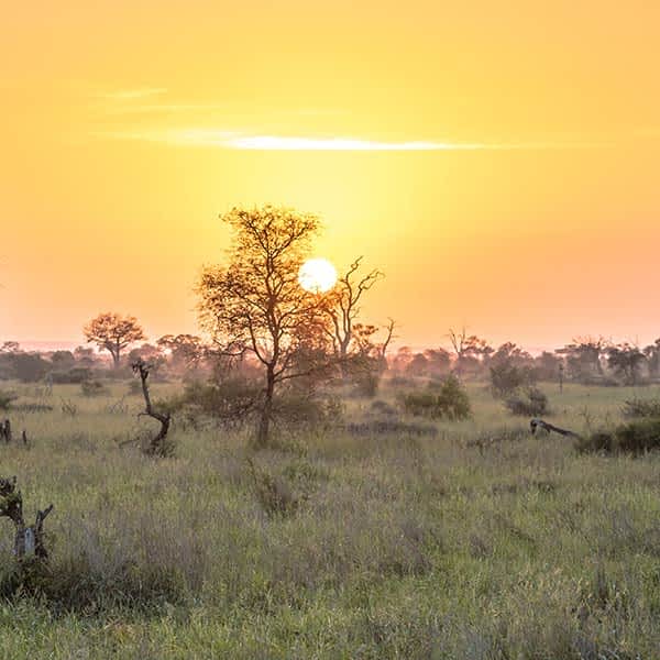 Read more about Serengeti safari areas