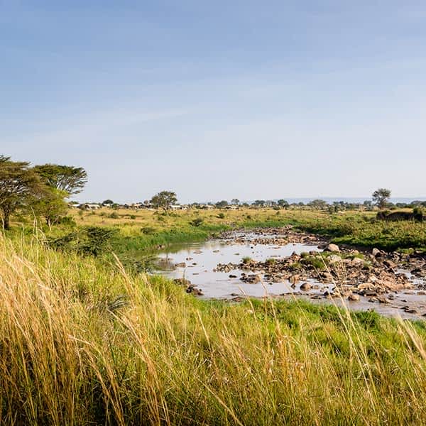 Read more about Serengeti Mara