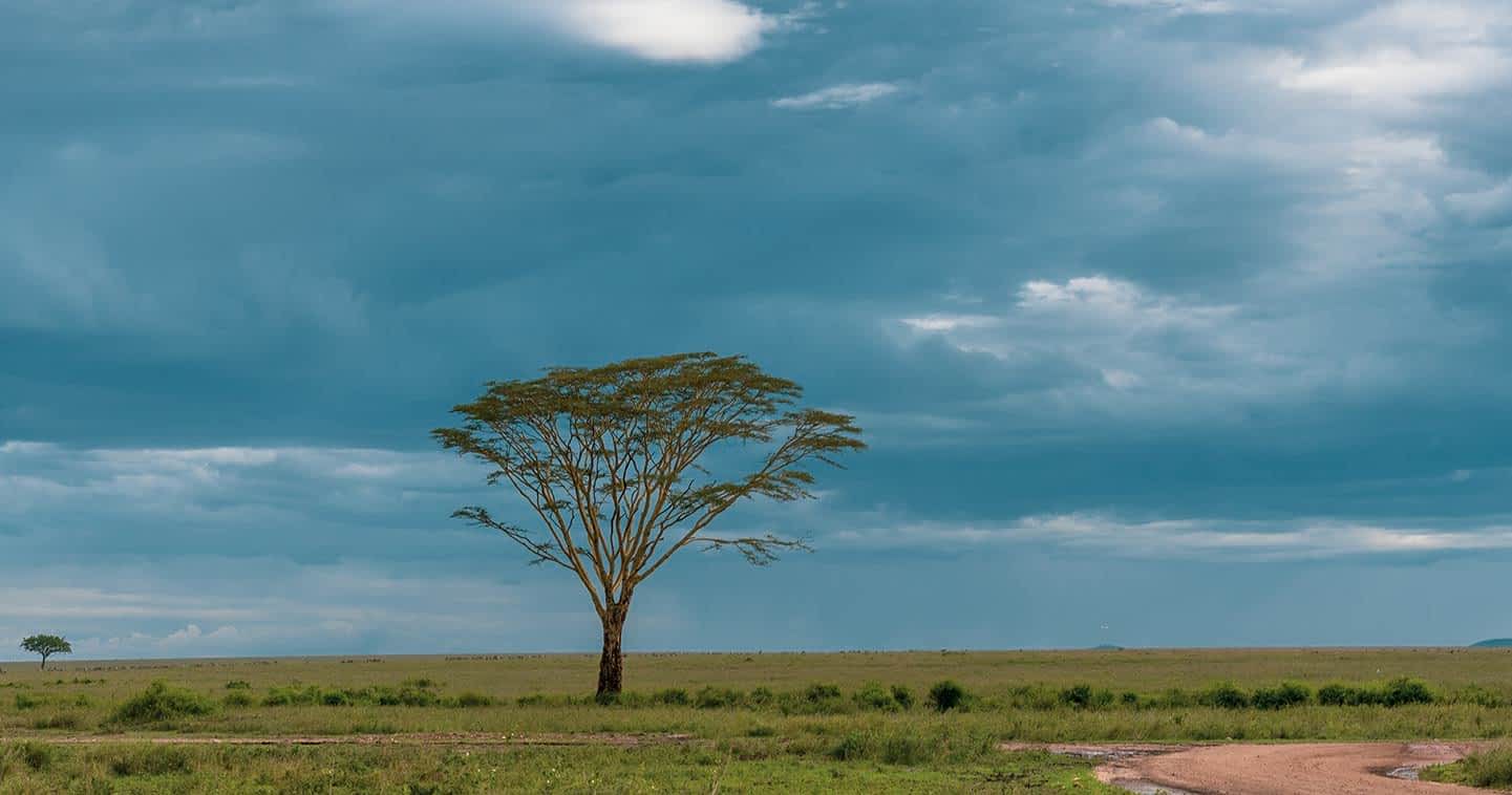 Weather Climate In Serengeti National Park Tanzania